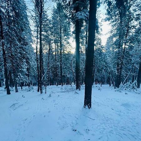 Cozy Cabin Getaway Villa Pollock Pines Exterior photo