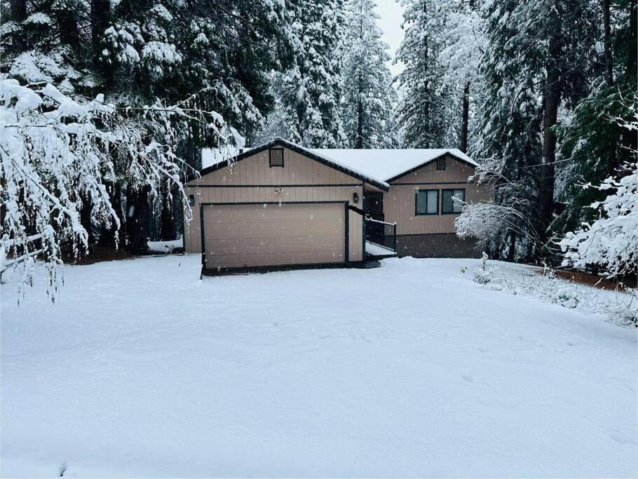 Cozy Cabin Getaway Villa Pollock Pines Exterior photo